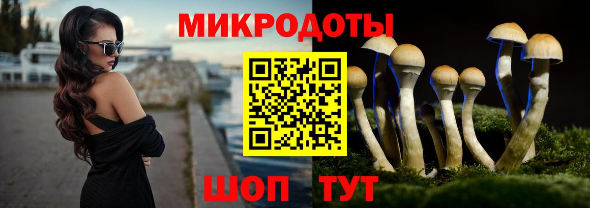 Псилоцибиновые грибы Psilocybe Фролово